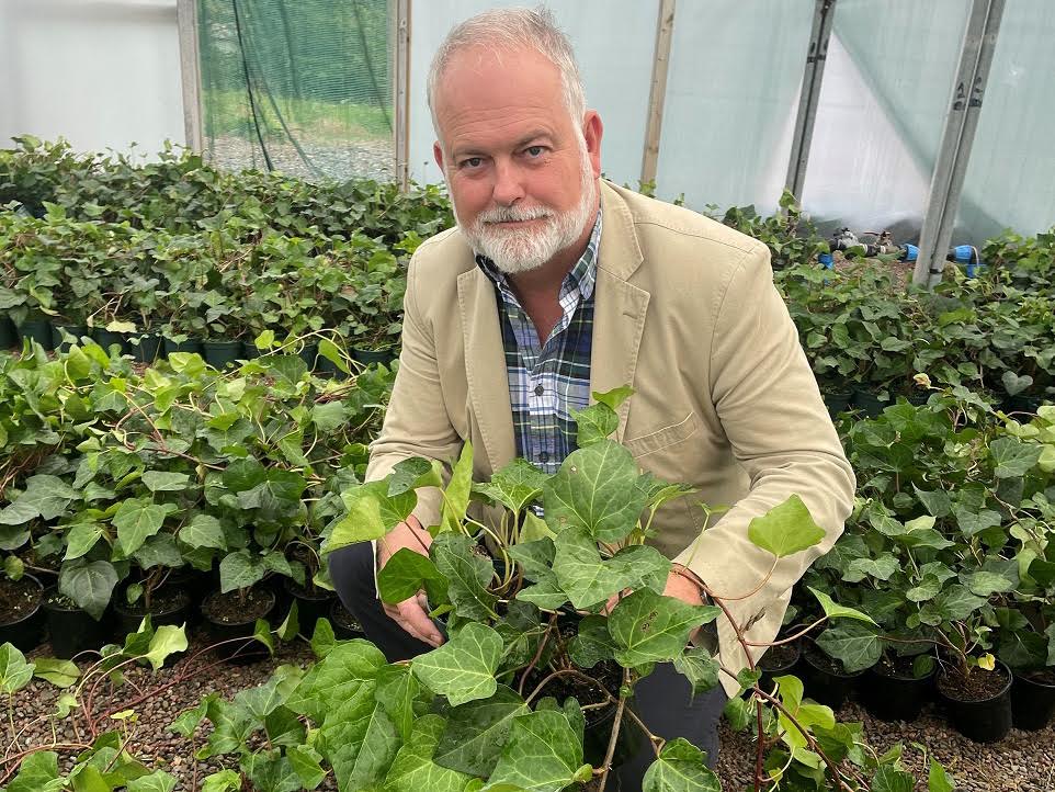  Andy Johnson, Managing Director at Wyevale Nurseries with the new Hedera Algerian Bellecour